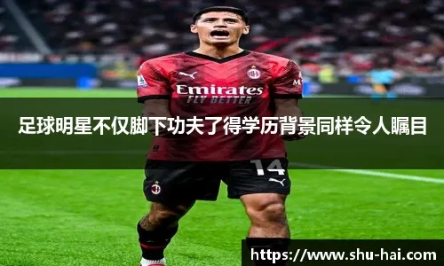 数据显示失